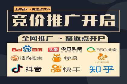 竞价广告与自然搜索的结合策略：XX网站的案例分析