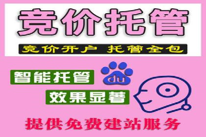 百度SEM与竞价排名策略的深度结合案例